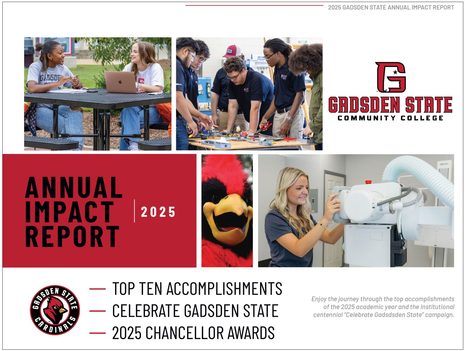 2025 Annual Report Cover
