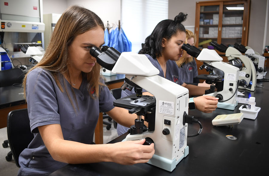 Medical Laboratory Technology students in the lab
